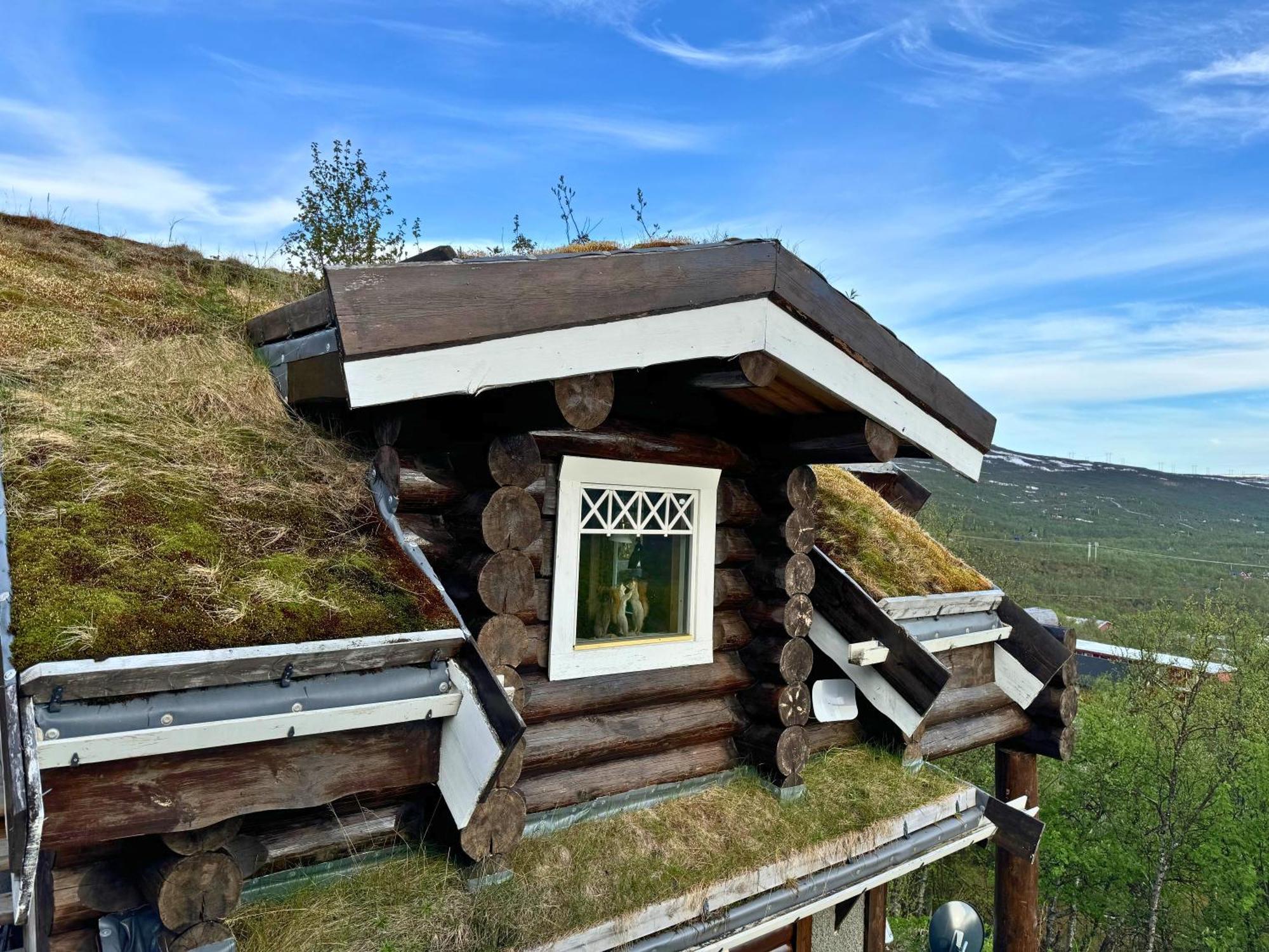 Unique Arctic Timber Cabin Skaidi Extérieur photo